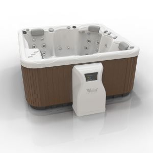 Станция дозирования Wellis Free Chlorine System - Фото 1